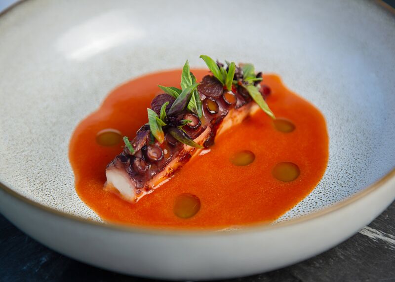 Pulpo